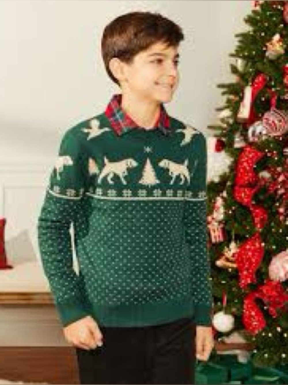Class Club Boy’s Dog & Duck Fair Isle Intarsia Christmas Sweater Size 2T